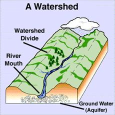 Biomechanical evaluation of the Full Project Watershed