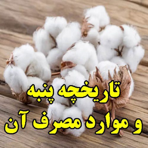 پاورپوینت تاریخچه و موارد استفاده پنبه