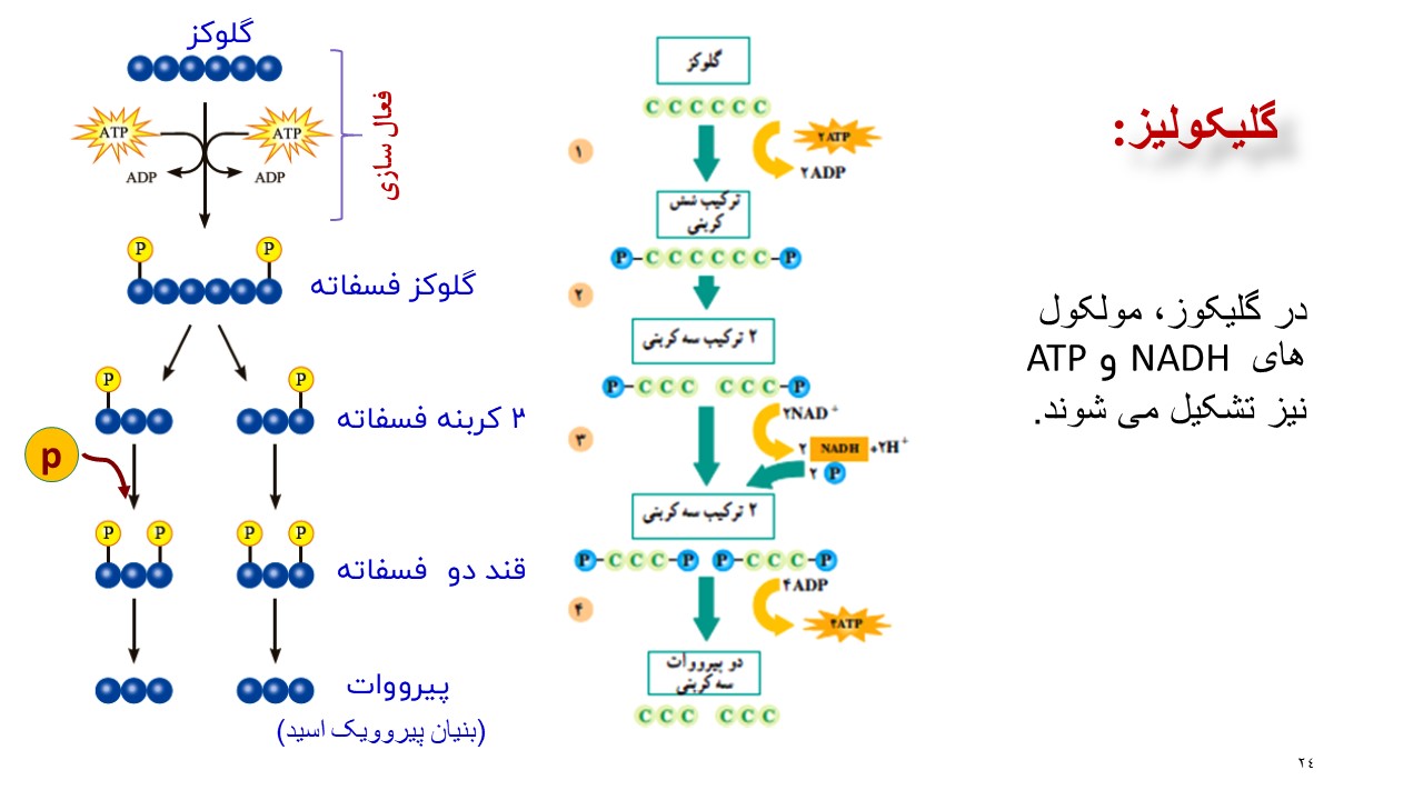 تدریس اکسایش بیشتر